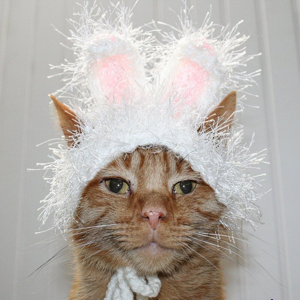 HAND CRAFTED Hat Crochet Easter Bunny Ears Cat Costume Photo Prop White